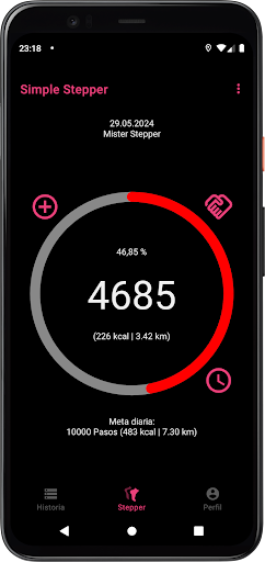 Vista previa de la aplicación