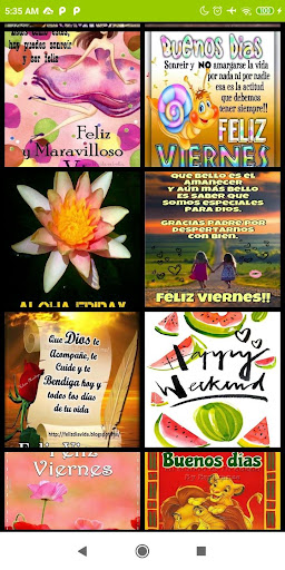 Frases para el dia Viernes ?