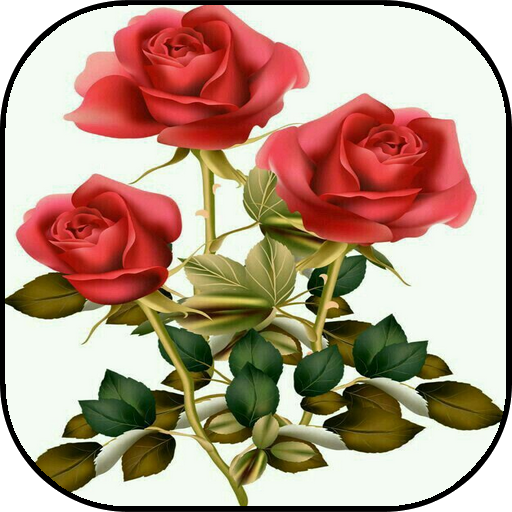 Flower Rose Animated Image Gif