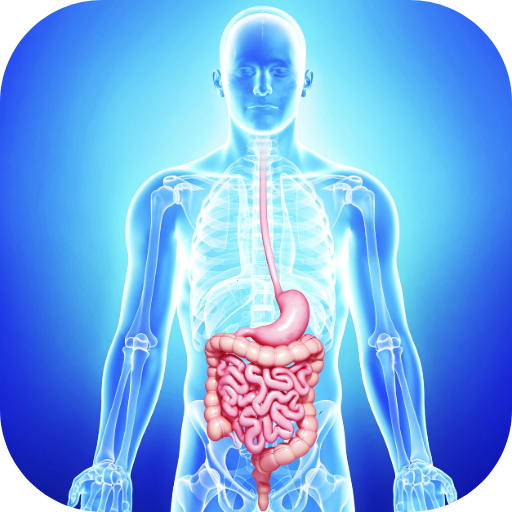 digestive system diseases Download on Windows