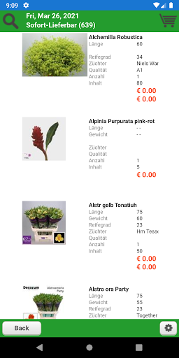 Willeke Blumen Screen 2