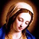 Virgin Mary LWP Free Download on Windows