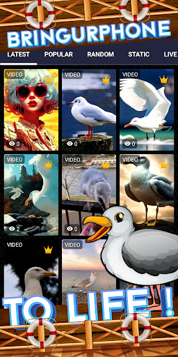 seagull wallpaper Screen 2