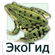 Top 19 Books & Reference Apps Like EcoGuide: Russian Amphibians - Best Alternatives