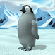 ヒナから育てるペンギン - Androidアプリ