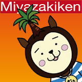 miyazakiken battery widget icon