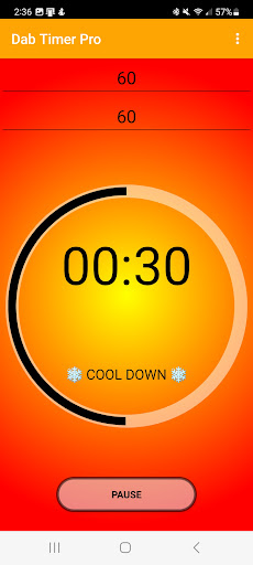 Dab Timer Pro Screen 3