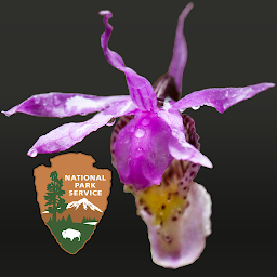 Icon image DenaliFlora Interactive Key