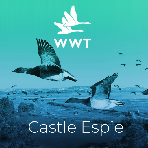Castle Espie AR logo