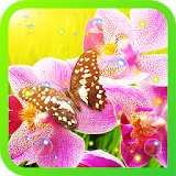 Orchid Garden live wallpaper icon