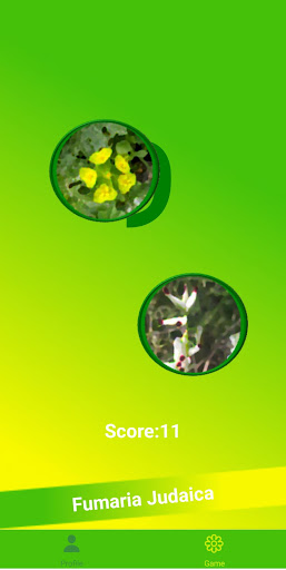 flyflowersAI flowers and fun Screen 3