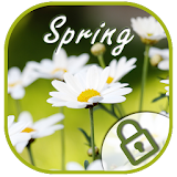 Daisy spring aroma vivid theme icon