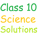 Class 10 Science Solutions icon