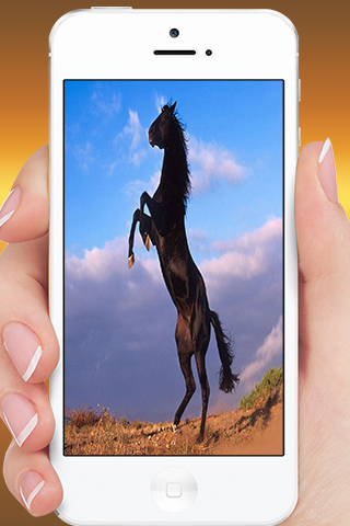 Download Imagenes de caballos Free for Android - Imagenes de caballos APK  Download 