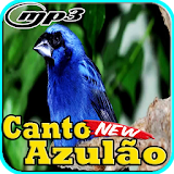 Canto do Azulao Fibra Para Encartar Mp3 icon