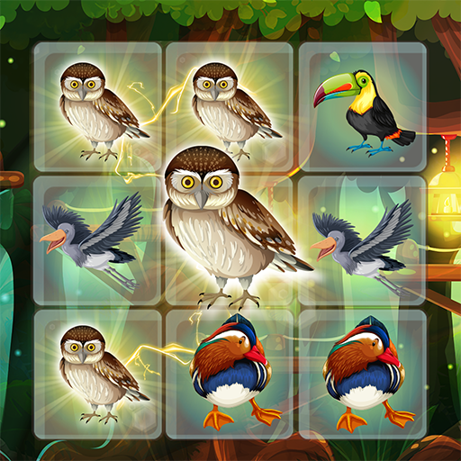 Jungle Birds Match Puzzle