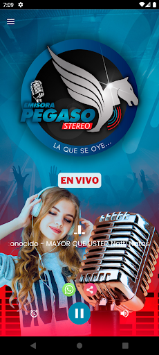 Pegaso Stereo Screen 2