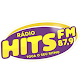 Radio Hits fm Betim Download on Windows