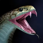 Cover Image of Download Snake Wallpapers  APK