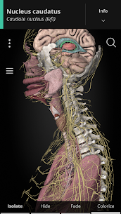 Anatomyka - Atlas de anatomía 3D MOD APK (todo desbloqueado) 1