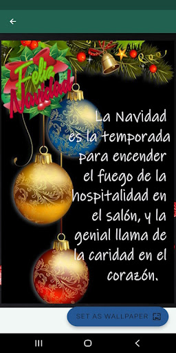 Navidad y Año Nuevo Screen 2