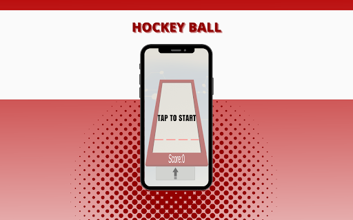 2048 Hockey Ball