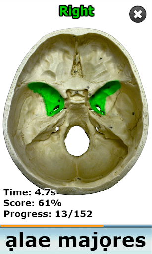Anatomy Star - Head and Neck Screen 3