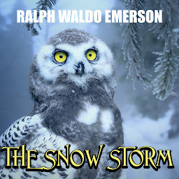 Icon image The Snow-Storm