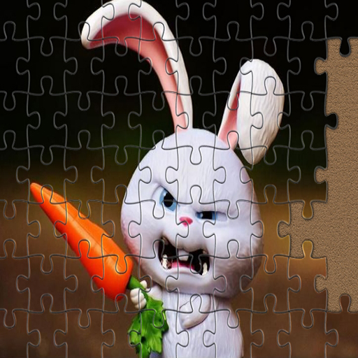 jigsaw puzzle Collections