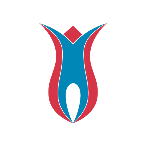 Türkiye Ulusal Ajansı logo