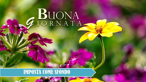 Italian Morning Night Greeting Screen 3