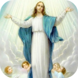 Virgen Maria en el Antiguo Testamento icon