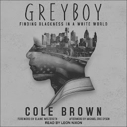Icon image Greyboy: Finding Blackness in a White World