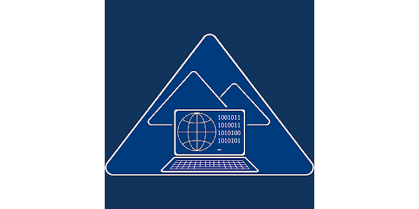 Web terminal