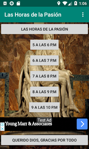 Vista previa de la aplicación