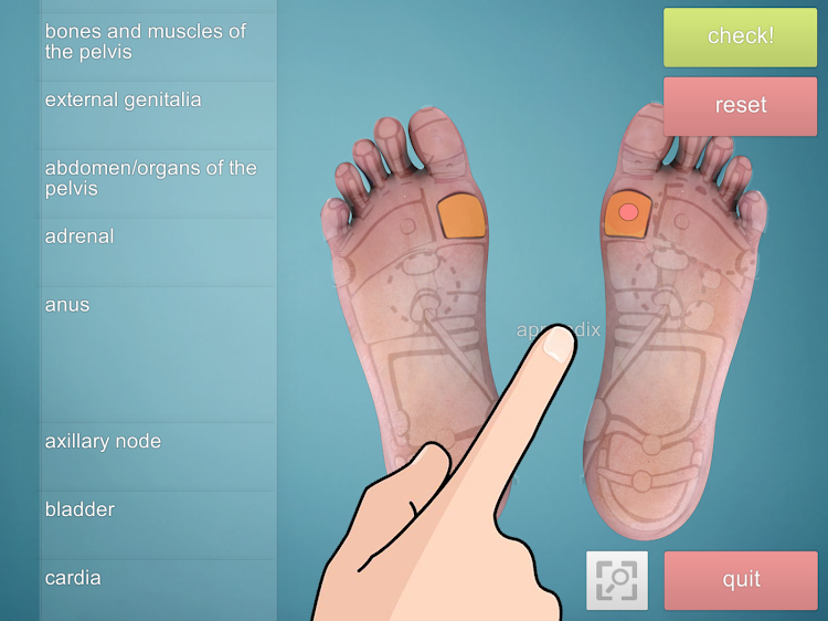 Drag&Drop Reflexology- foot - 1.1 - (Android)