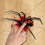 Spider Smasher Game icon