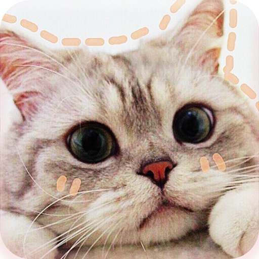 Wallpaper Kucing Offline AISO logo