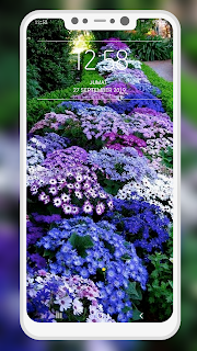 Garden Wallpaper