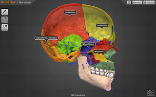 screenshot of BoneBox™ - Skull Viewer