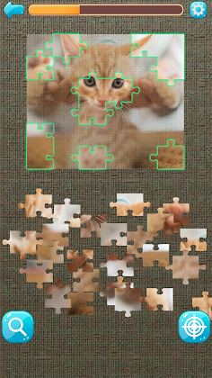 Cats Gallery - Screenshot 3
