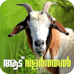 Cover Image of Download Goat Farming Malayalam  APK
