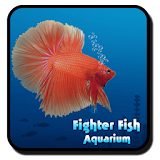 Fighter Fish Aquarium icon