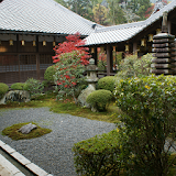 Kyoto:Autumn  of KomyojiTemple icon