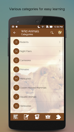 Screenshot of Wild Animals