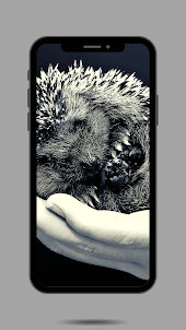 Hedgehog Ringtone