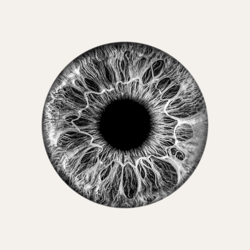 ID Reader Windows에서 다운로드