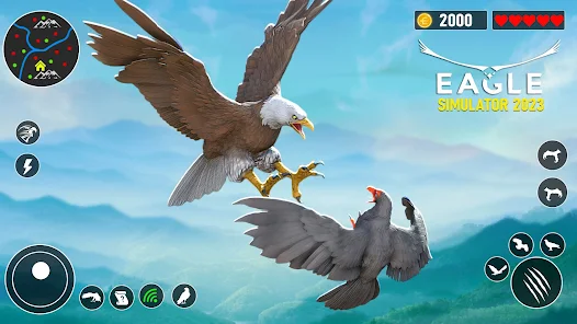 Eagle Simulator