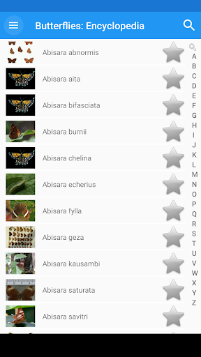 Butterflies: Encyclopedia Screen 2