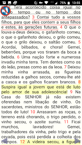Bíblia Católica de estudo Screen 2